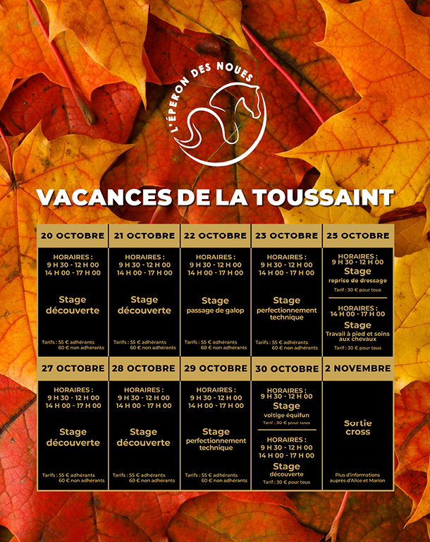 vacances de la Toussaint au centre équestre l'éperon des noues