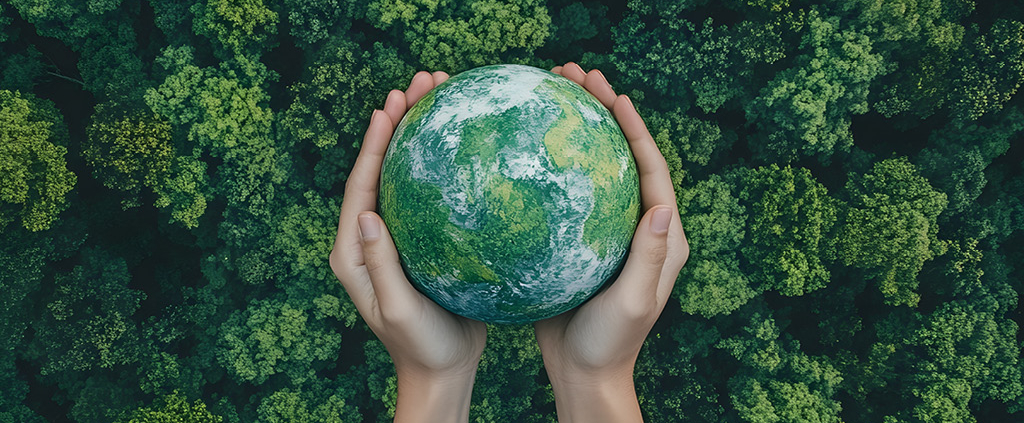 Ringeard Décoratio s’engage dans une démarche RSE en alliant savoir-faire et solutions durables pour réduire l’impact environnemental.